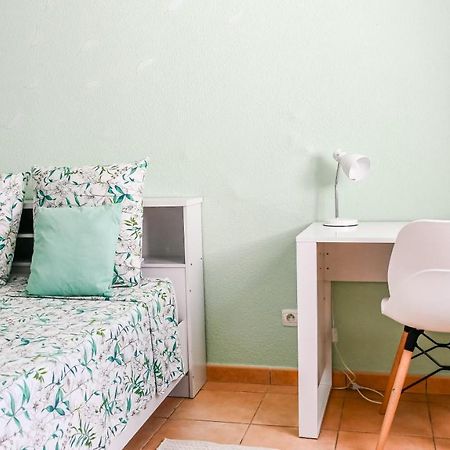 Charmant Appartement Aux Abymes Les Abymes Exterior foto